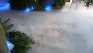 Fog Effect